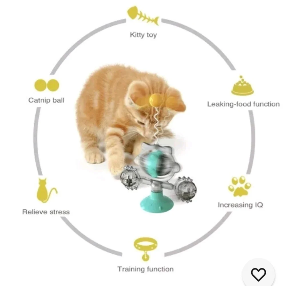 Cat toy